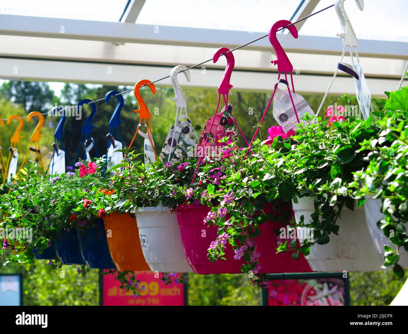 Row of colourful plastic hanging baskets Stock Photo