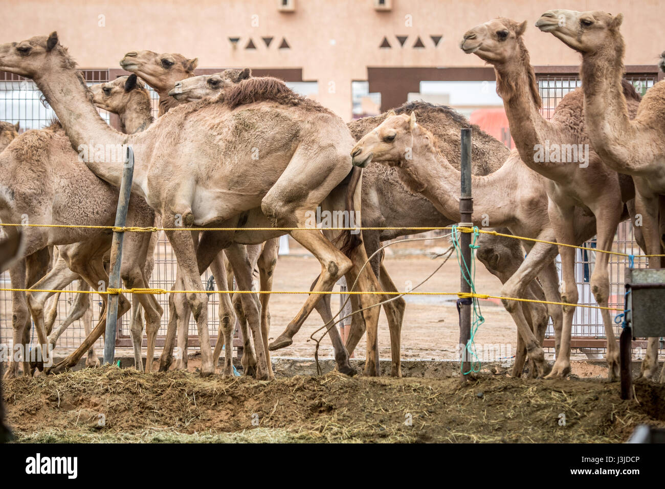 Molving hi-res stock photography and images - Alamy