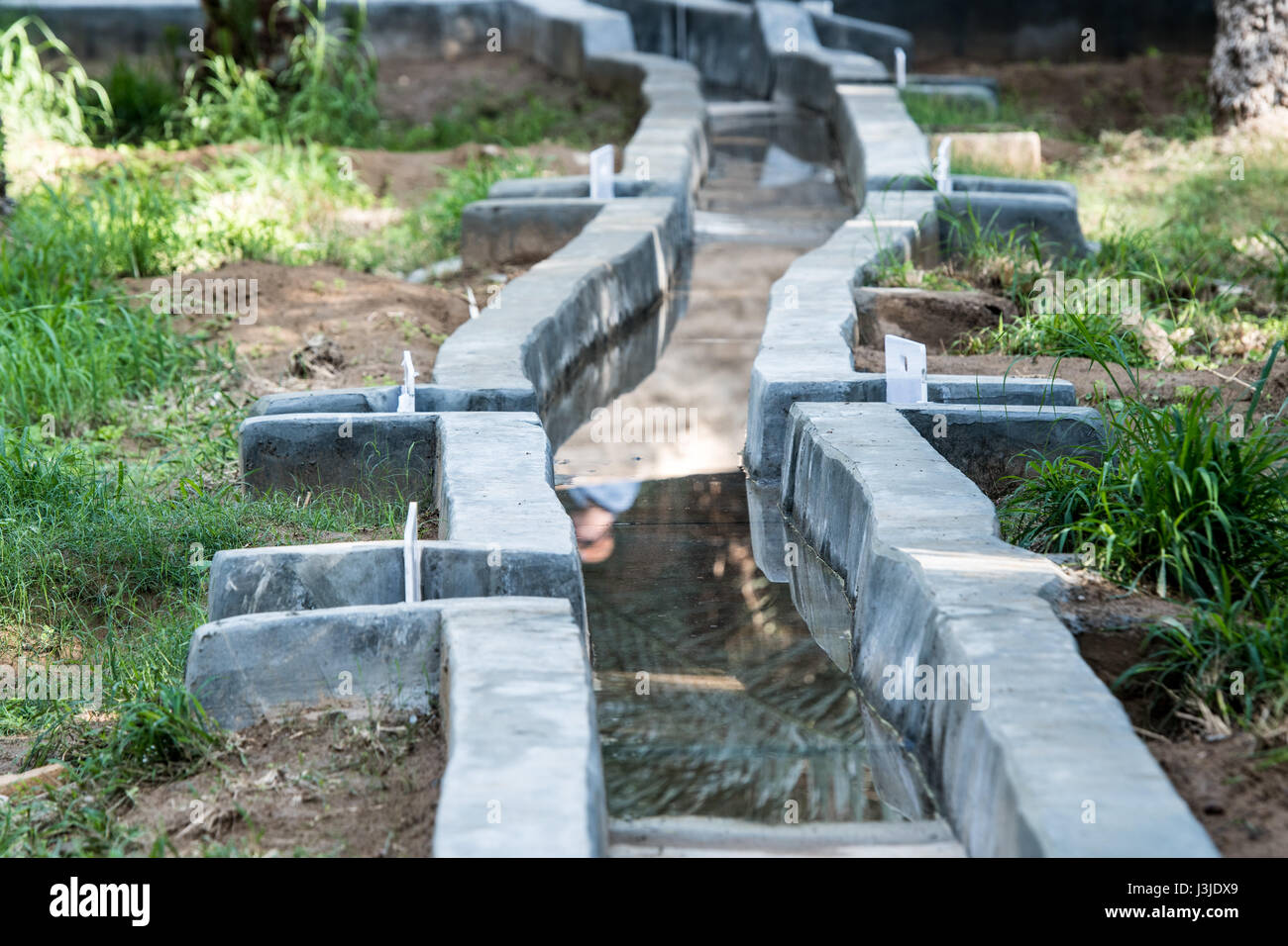 United Arab Emirates Irrigation system at the Al Ain Oasis, the