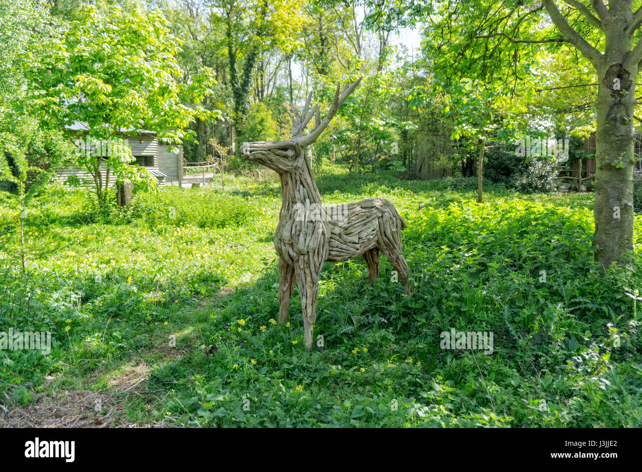 Wooden Deer, Tropical Butterfly House, Sheffield, Art Stock Photo Alamy