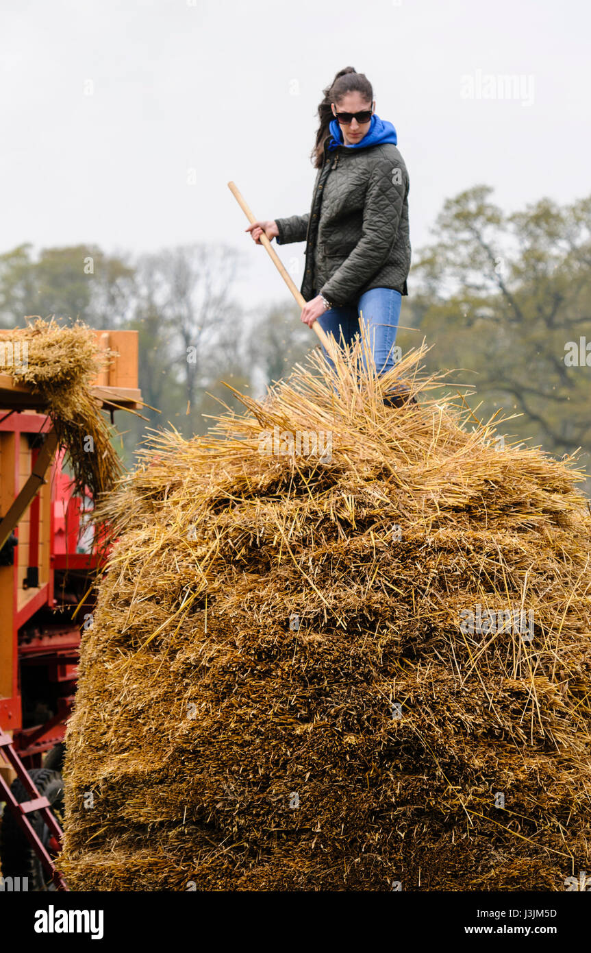 A young girl stands atop a large hay stack, and uses a pitch fork to