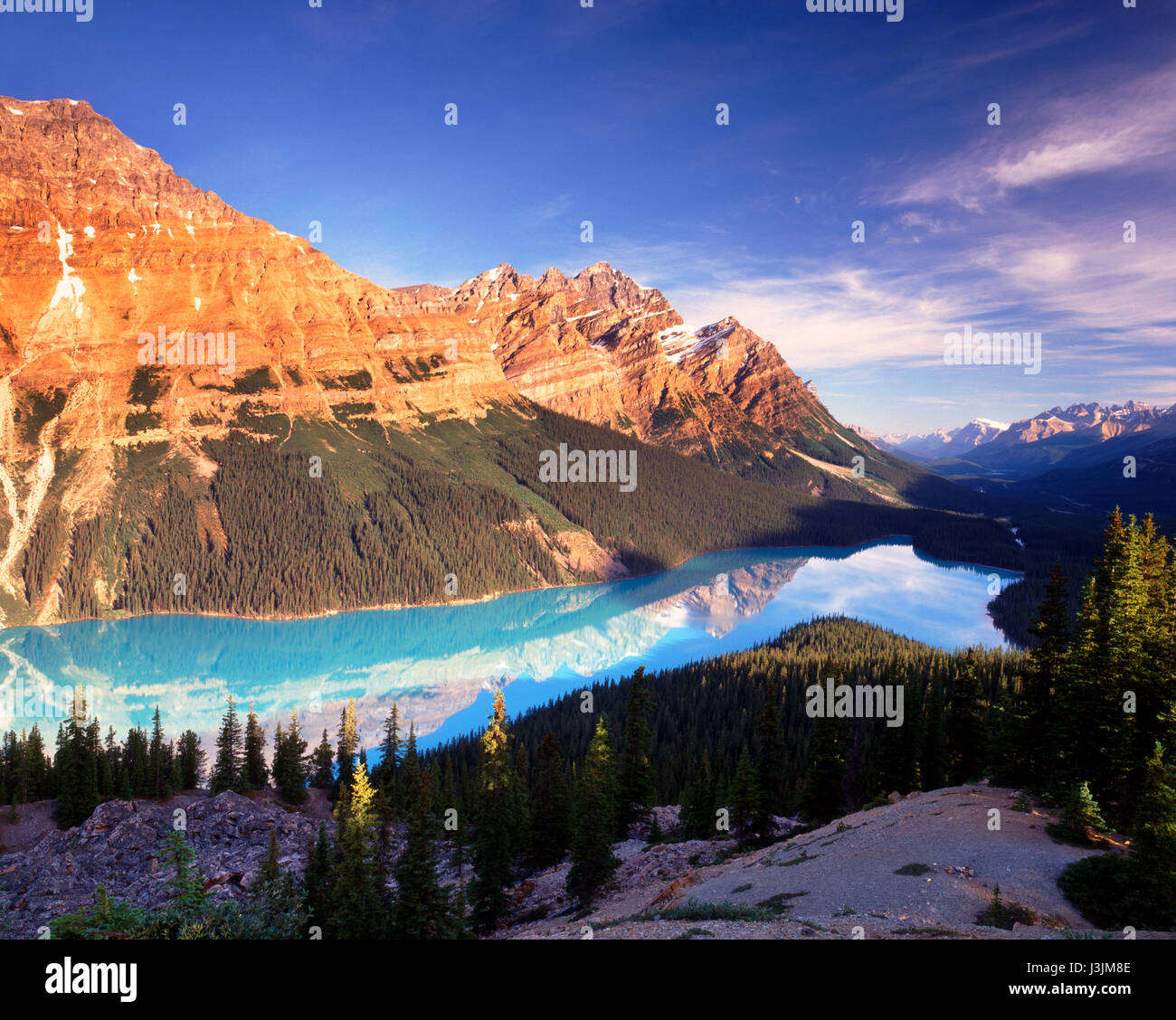Peyto Lake, Banff National Park, Rocky mountains, Alberta, Canada Stock Photo