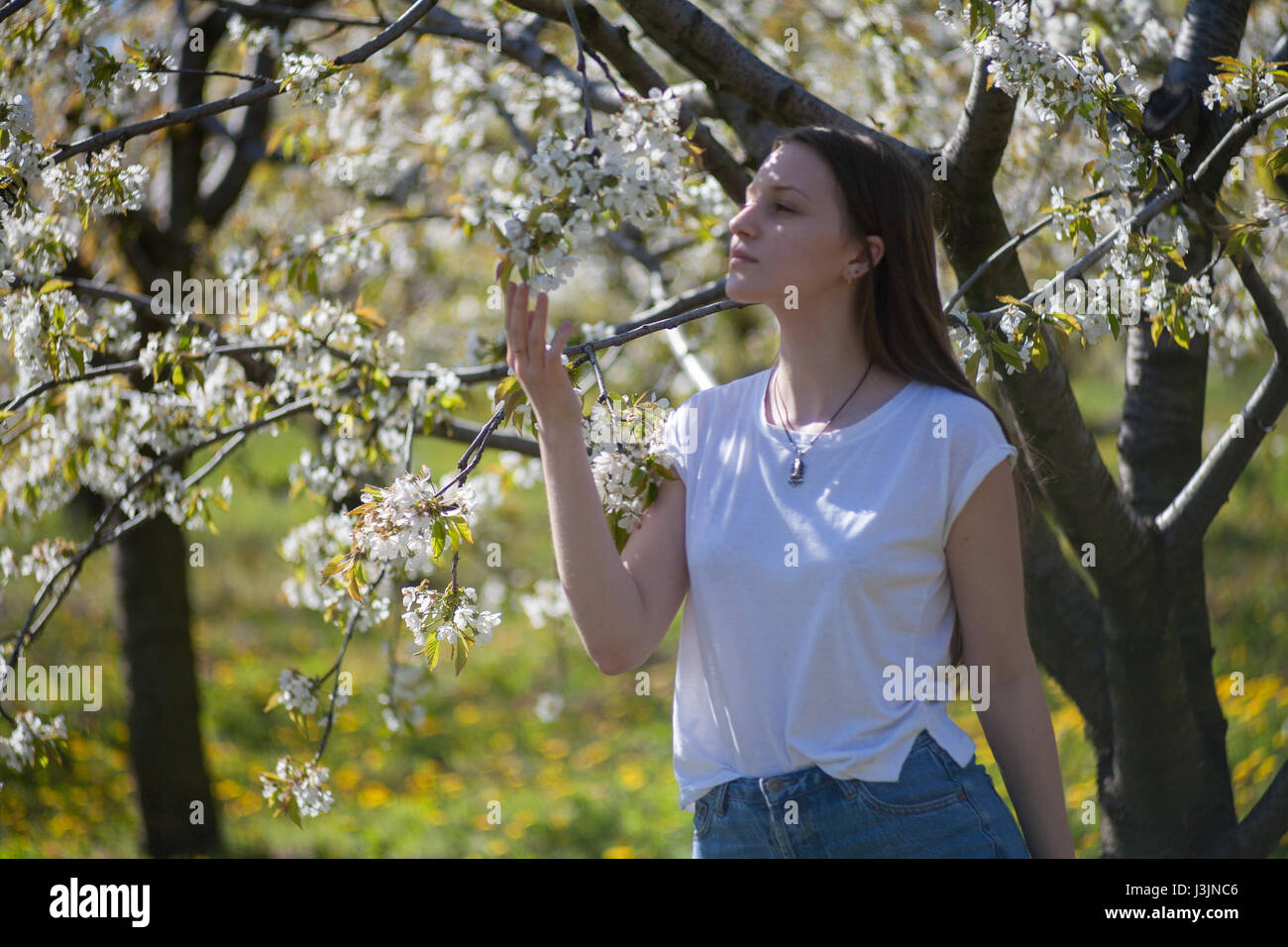 Portrait of a beautiful young girl in a blooming garden against a ...