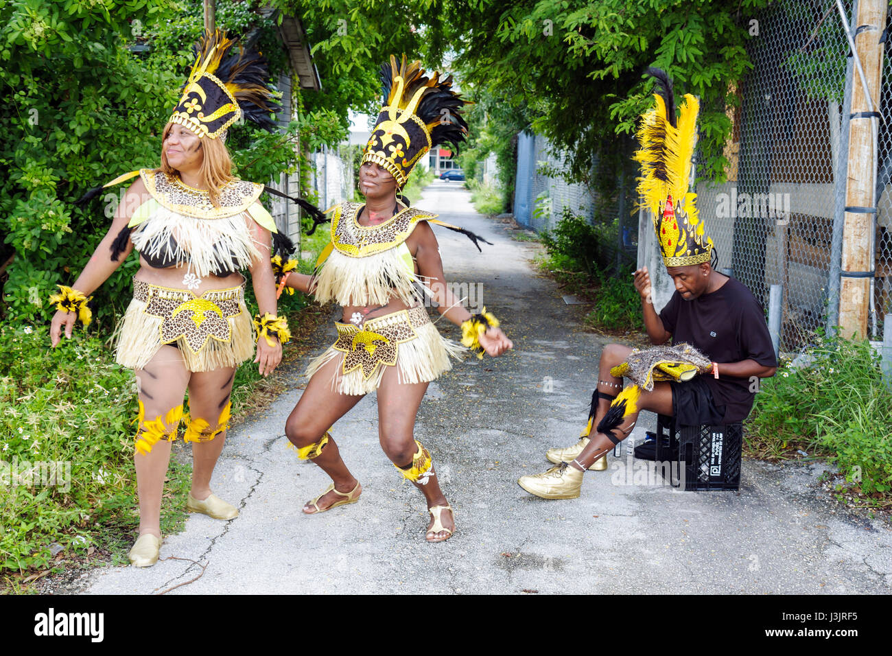 Miami Florida,NE Second 2nd Avenue,Miami Caribbean Carnival,colorful