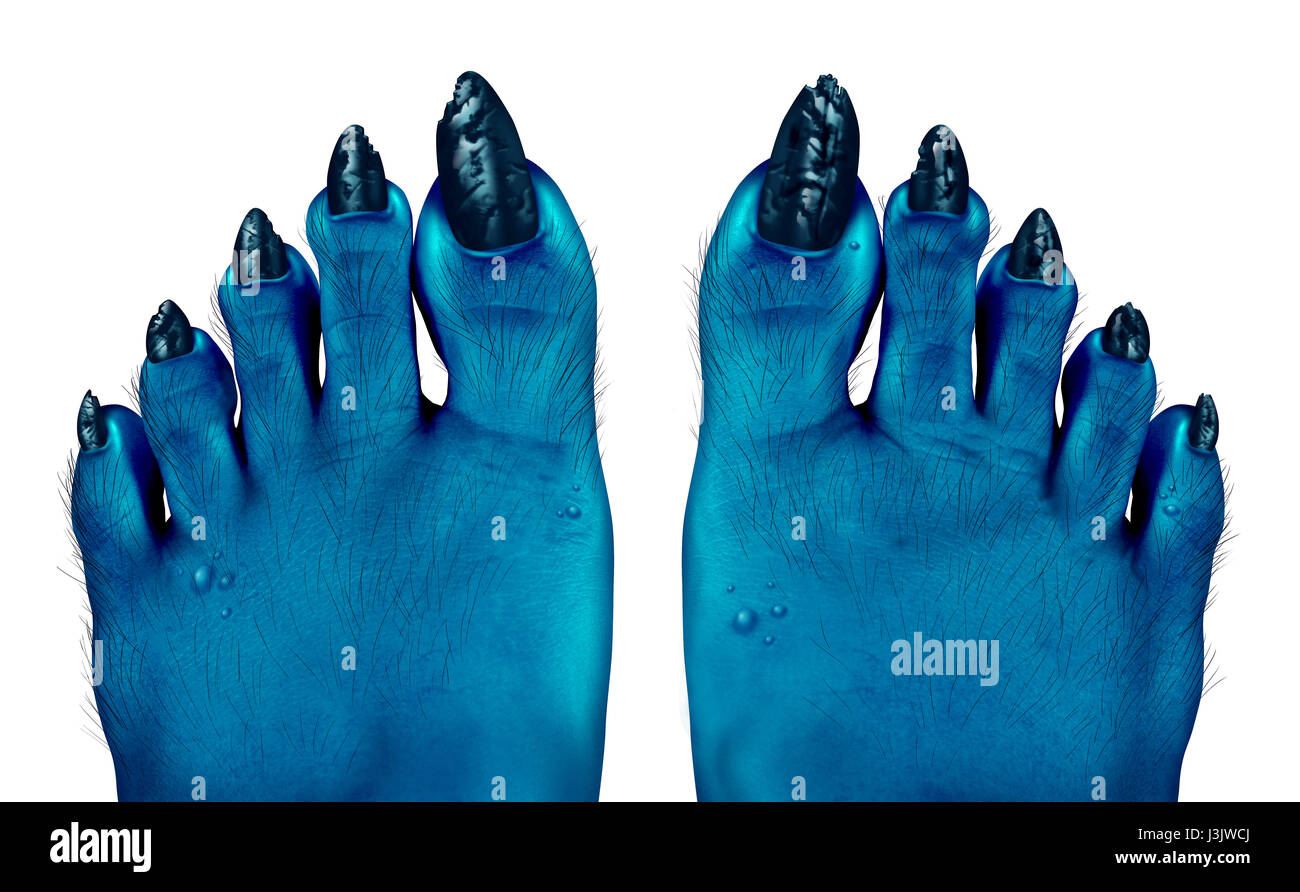 Monster blue feet as a creepy halloween or scary zombie symbol with textured skin and toes with hair and pimples on a foot. Stock Photo