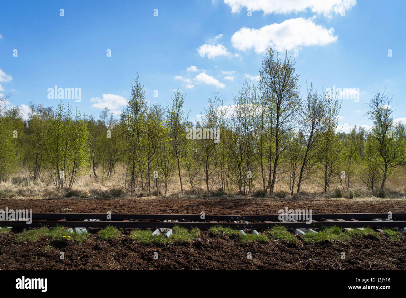 A moorland landscape in Schleswig-Holstein, Germany: Peat cutting and transportation Stock Photo