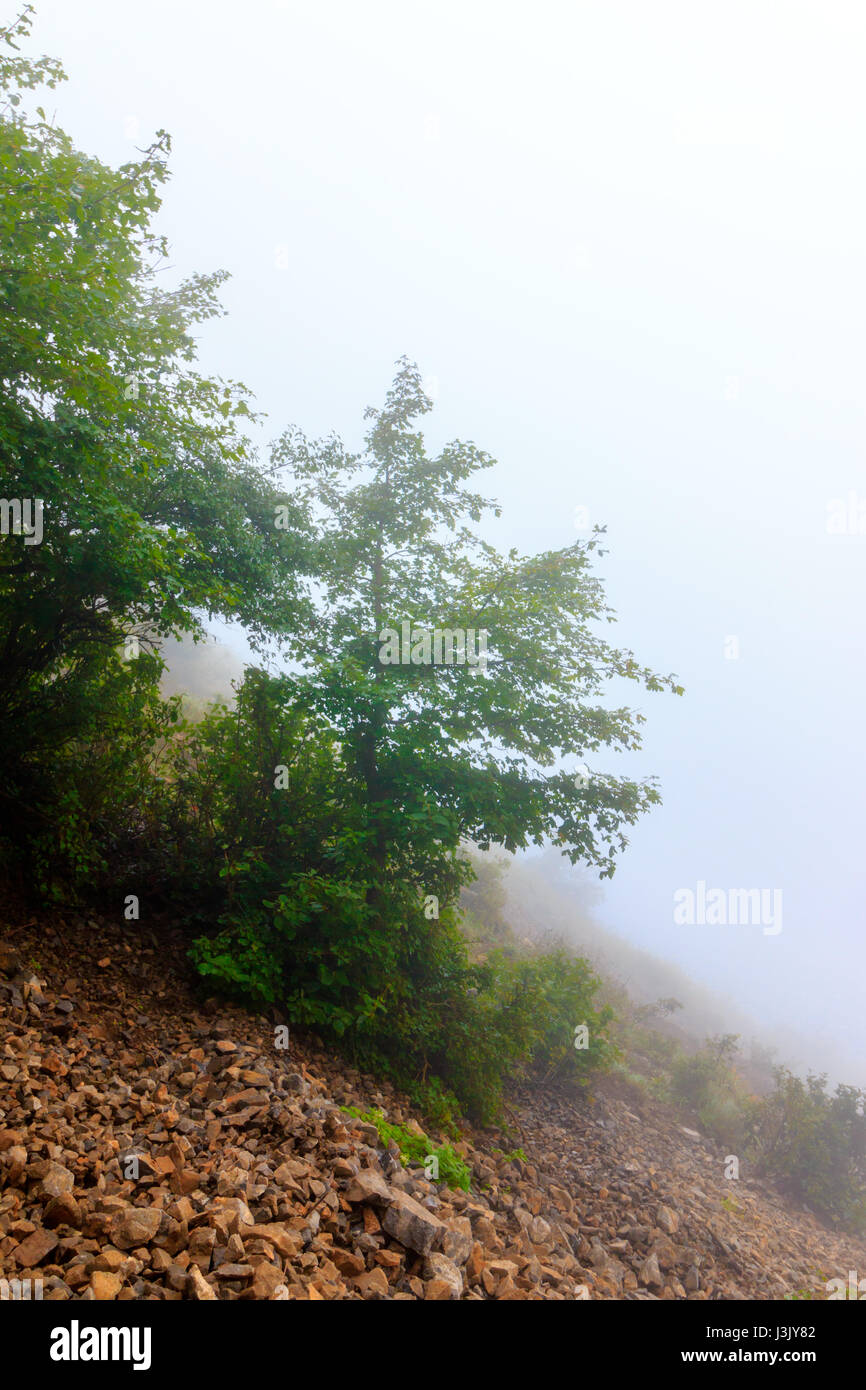 Foggy mountain hi-res stock photography and images - Alamy