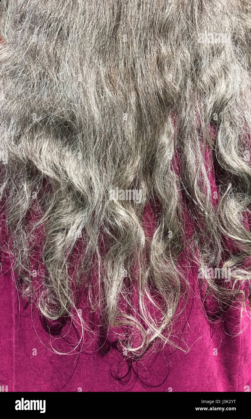 Gray hair of woman. Stock Photo