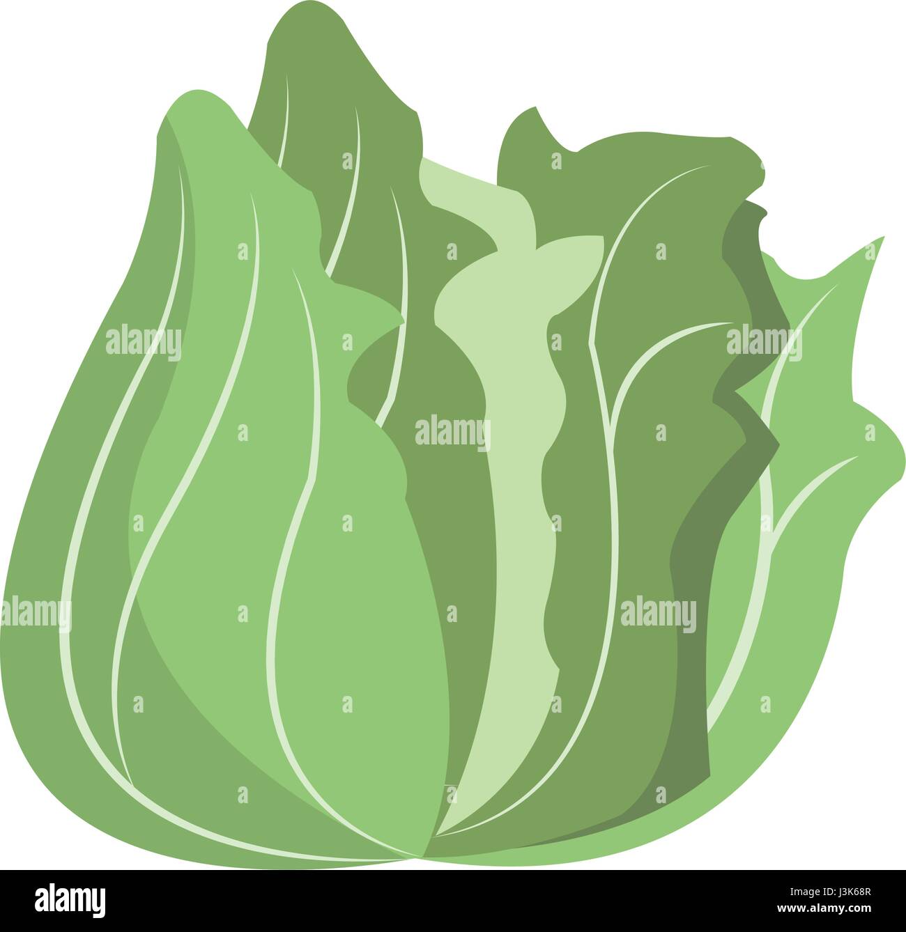 Vegan food chart Stock Vector Images Alamy