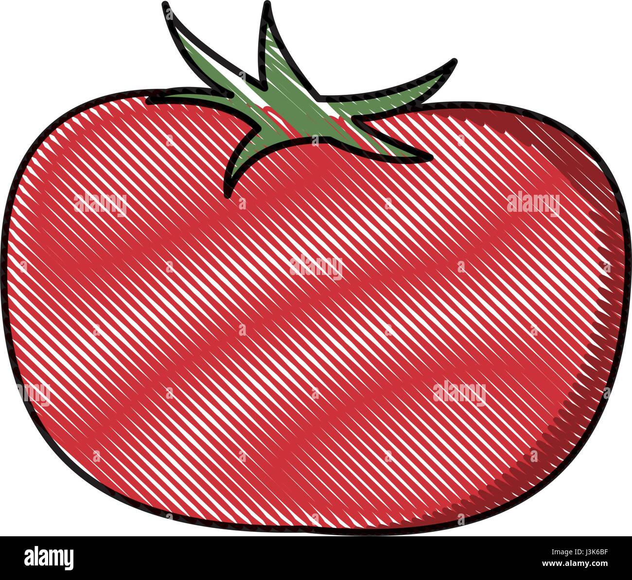 draw tomato vegetable nutrition vitamin food health Stock Vector Image & Art  - Alamy