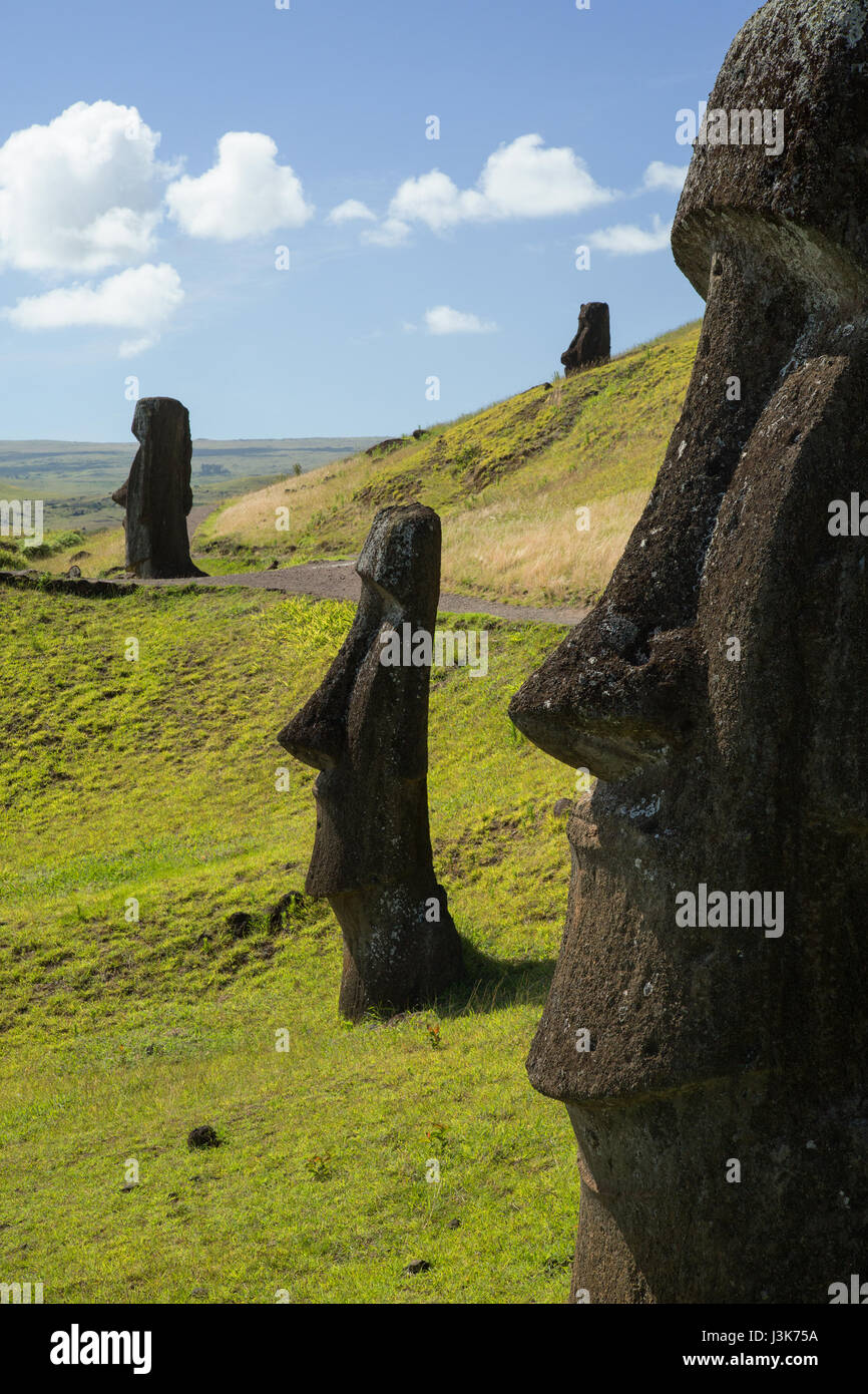 Giant moai in the quarry on Easter Island Stock Photo Alamy