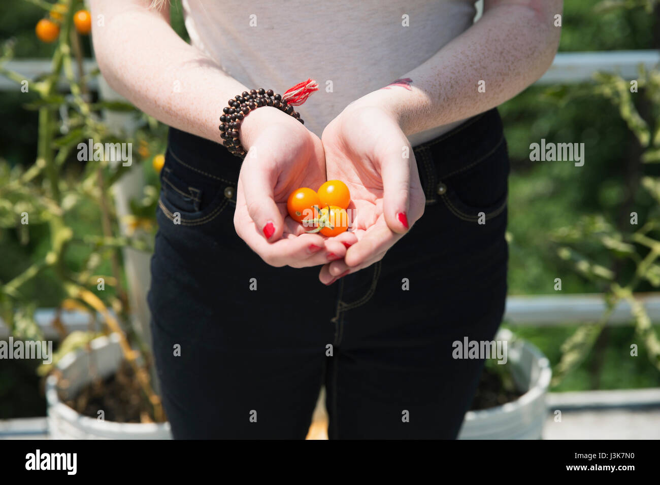 Young woman's hands holding tomatoes Stock Photo - Alamy
