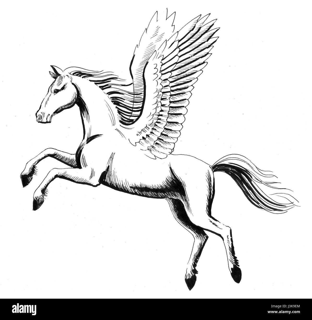 Pegasus Flight | ubicaciondepersonas.cdmx.gob.mx