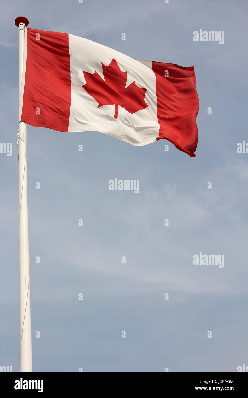 Canadian flag flying in the wind Stock Photo