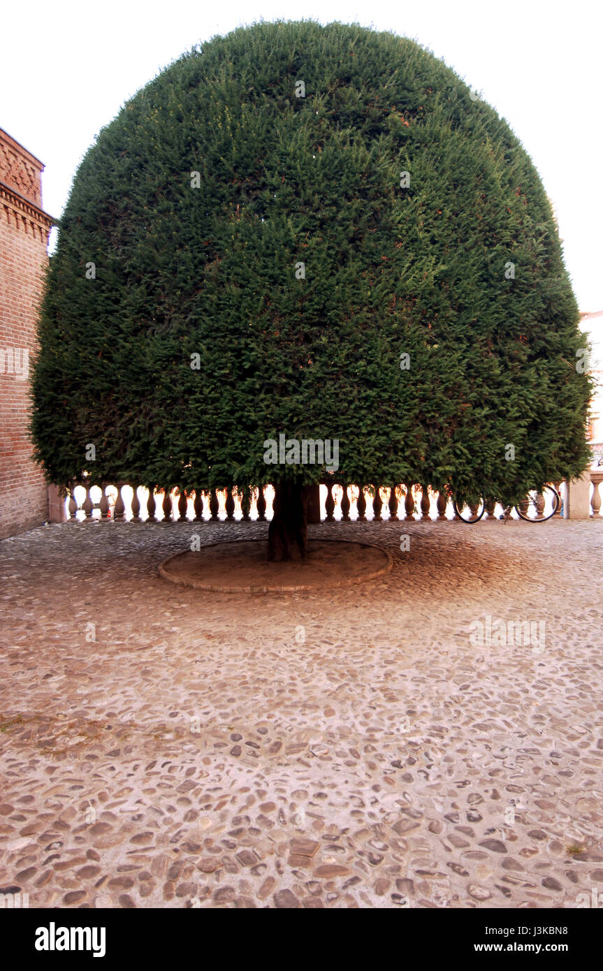 Boiardo castle, Boiardo Fortress, Scandiano, (Reggio Emilia province