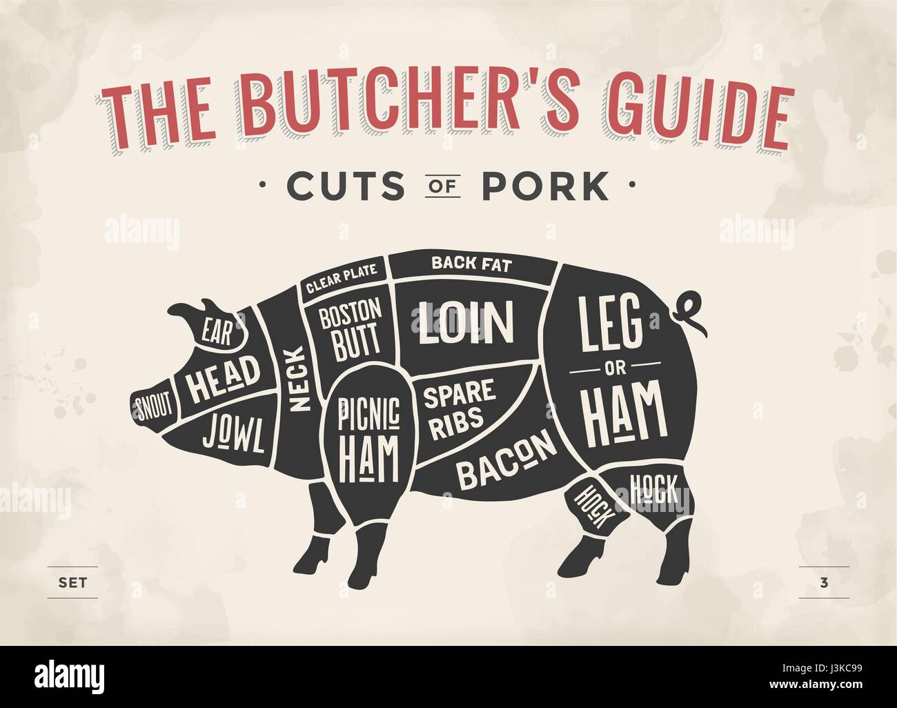 Cut Of Meat Set Poster Butcher Diagram Scheme And Guide Pork Vintage Typographic Hand Drawn 