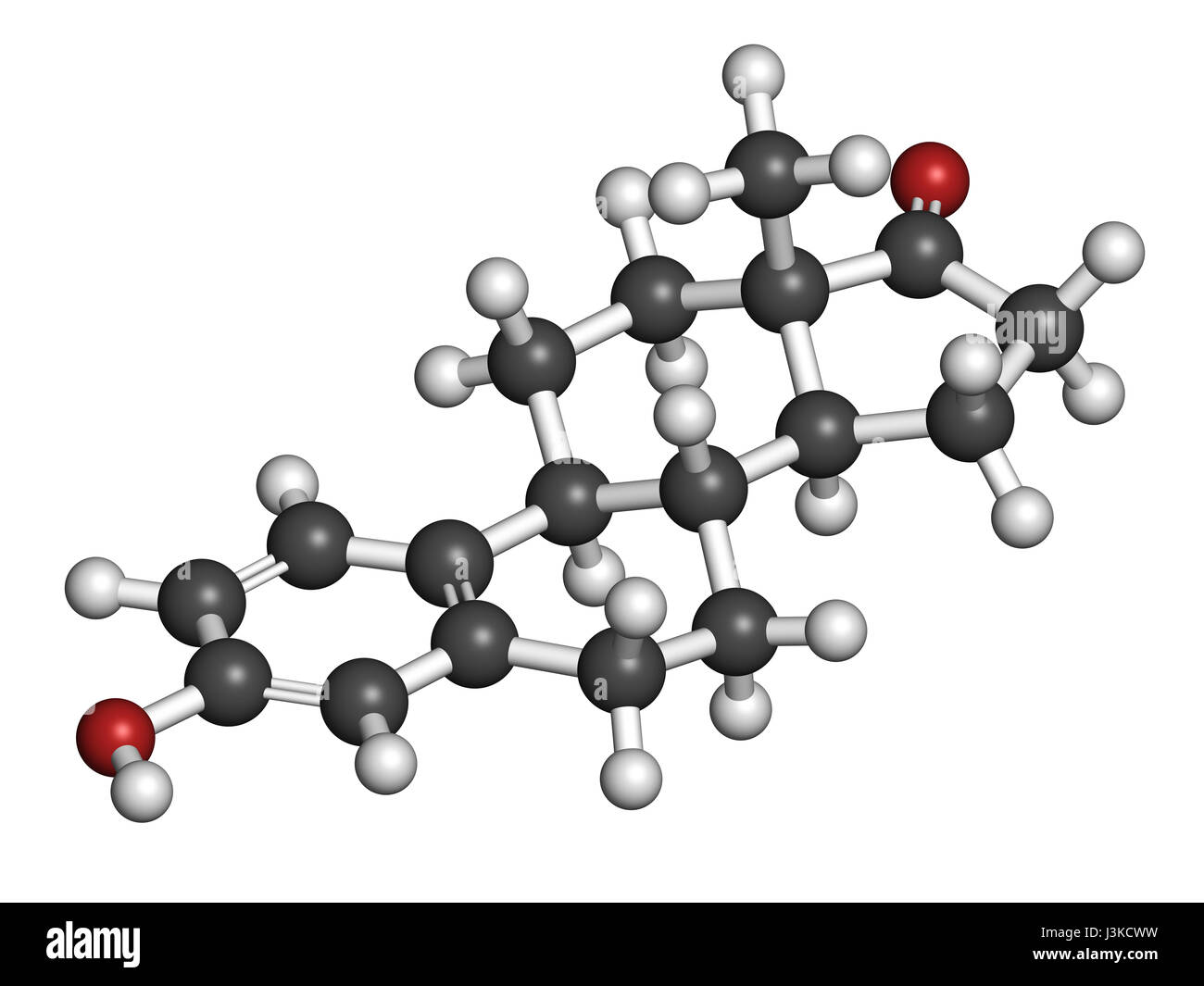 Estrone (oestrone) human estrogen hormone molecule. Atoms are represented as spheres with conventional color coding: hydrogen (white), carbon (grey),  Stock Photo