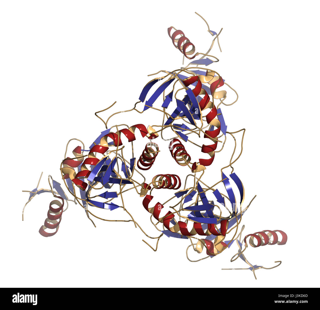 Ebola virus glycoprotein (GP), molecular structure. Occurs as spikes on ebola virus surface; target for vaccine development. Cartoon model, secondary  Stock Photo