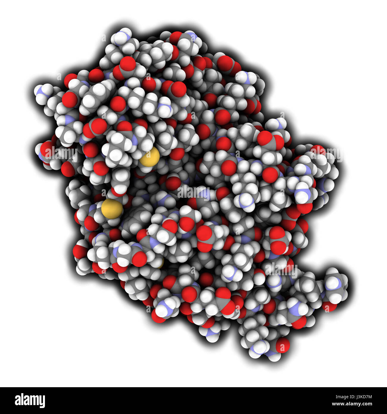Carbapenemase carbapenem antibiotic resistance enzyme. Carbapenemase OXA-24 from the bacterium Acinetobacter baumannii. Atoms shown as color-coded sph Stock Photo