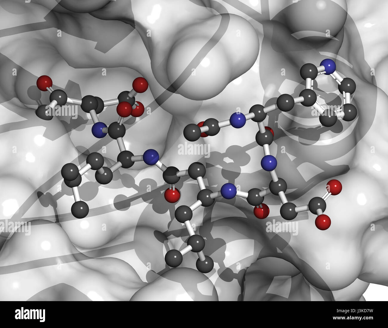 Caspase 3 apoptosis protein. Enzyme that plays important role in programmed cell death. Ligand