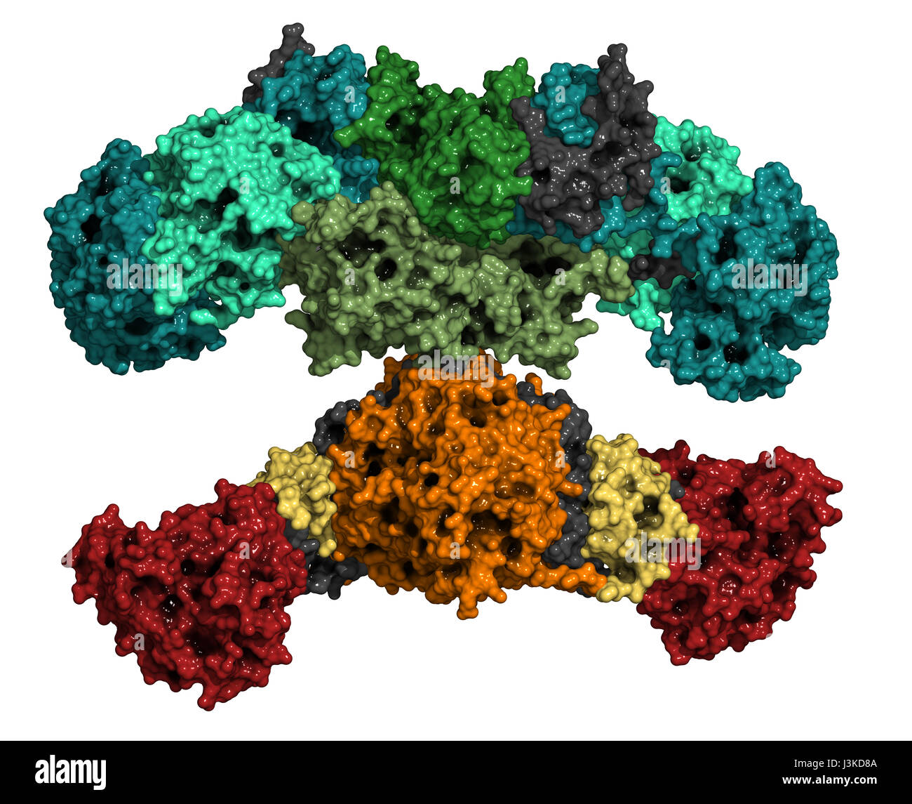 Protein Modules Protein synthesis hi-res stock photography and images - Alamy