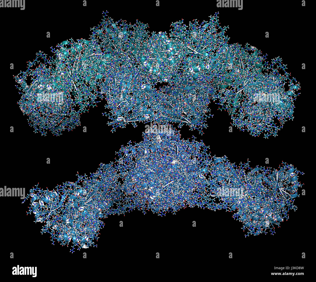 Fas Structure Fatty Acid Synthesis High Resolution Stock Photography and Images - Alamy
