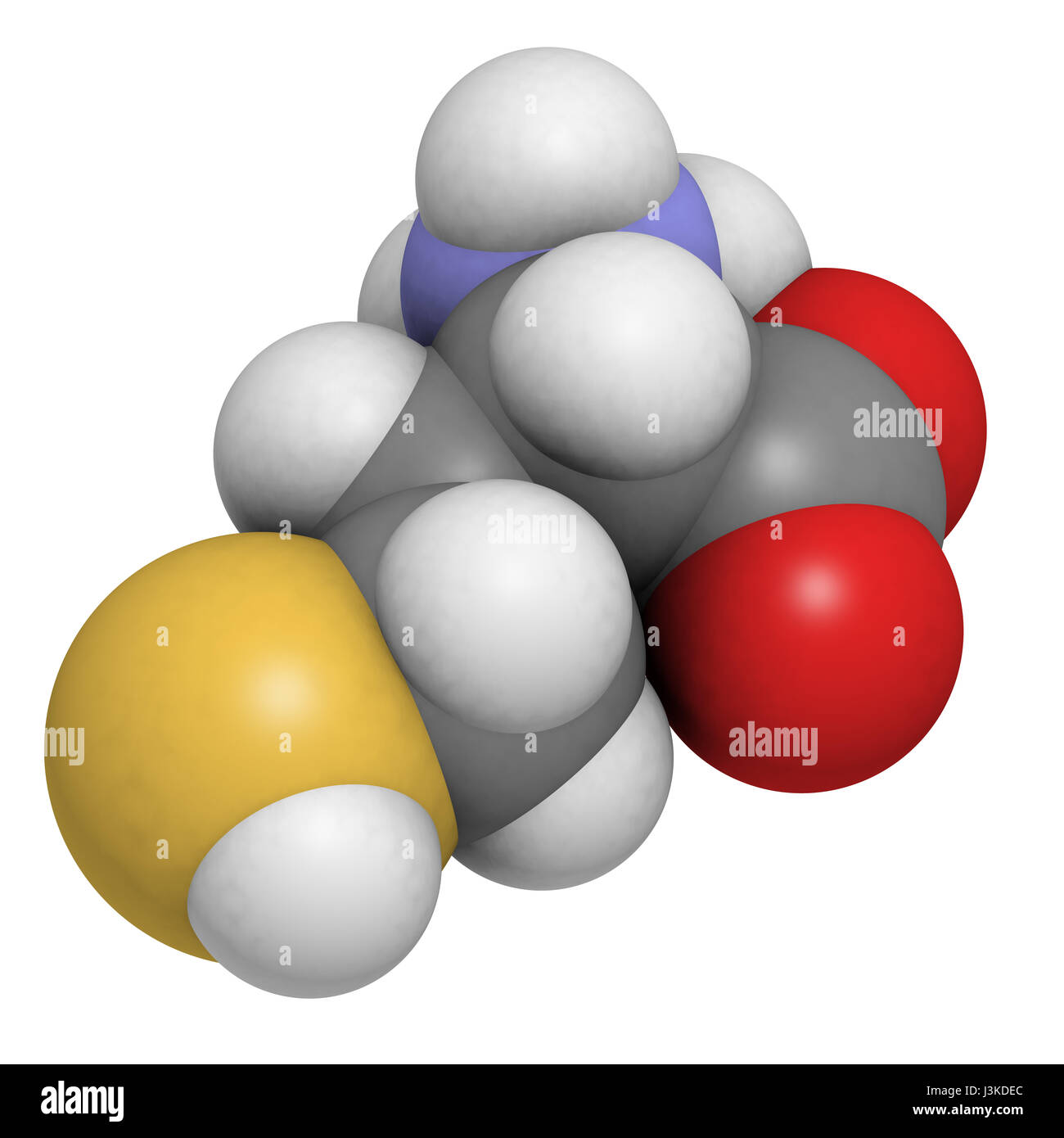 glutathione reduced form meaning Hyperhomocysteinemia, endoplasmic reticulum stress, and alcoholic liver  injury main image 1