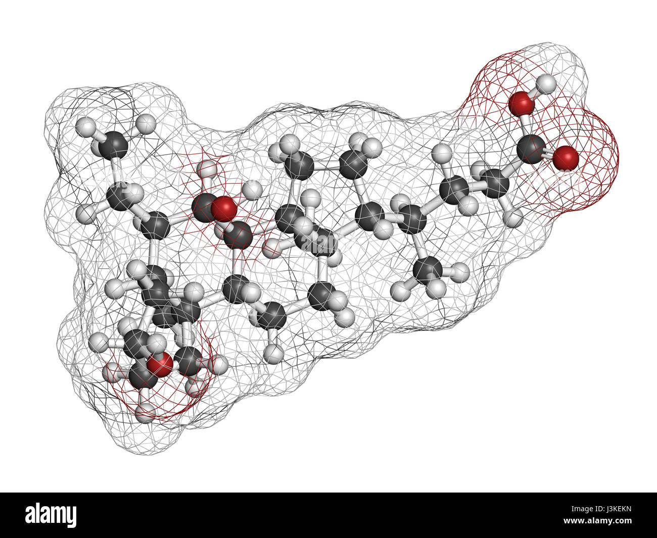 Obeticholic acid liver disease drug molecule. Agonist of farnesoid x ...