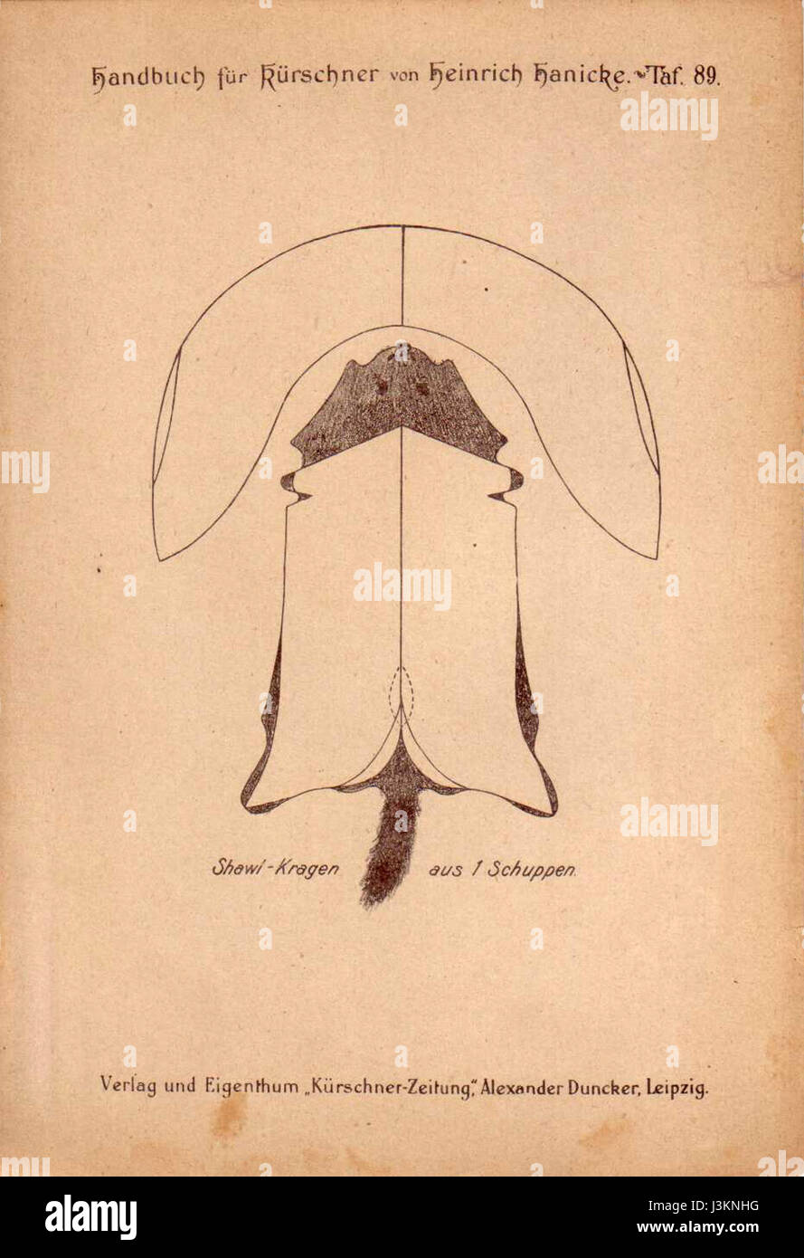 This is a reference to a book or manual titled 'Handbuch Hanicke' from the 19th or early 20th century. The number 89 likely refers to a specific edition or volume of the work. Stock Photo