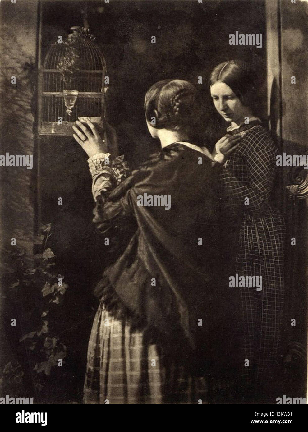 Hill Bird Cage Stock Photo Alamy