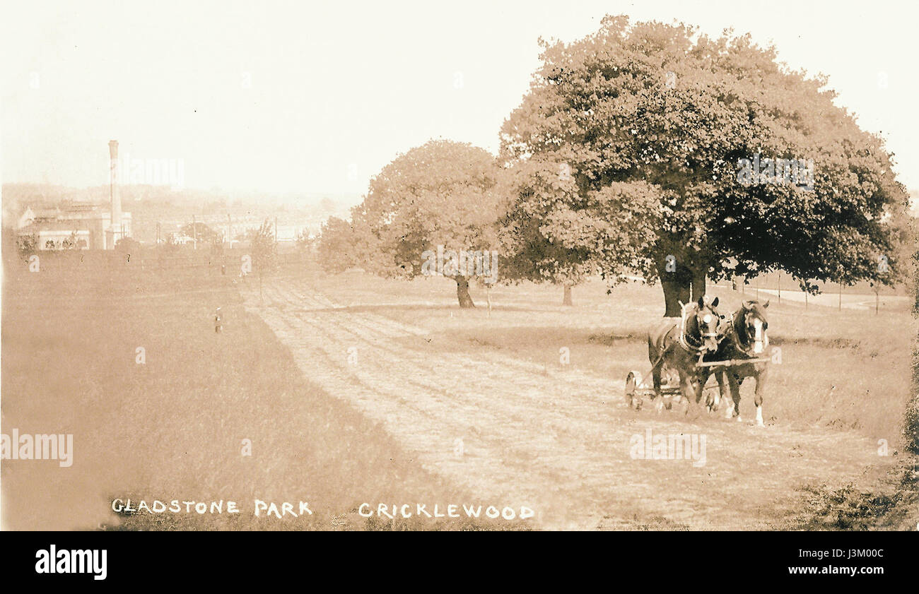 Gladstone Park Horses Stock Photo Alamy