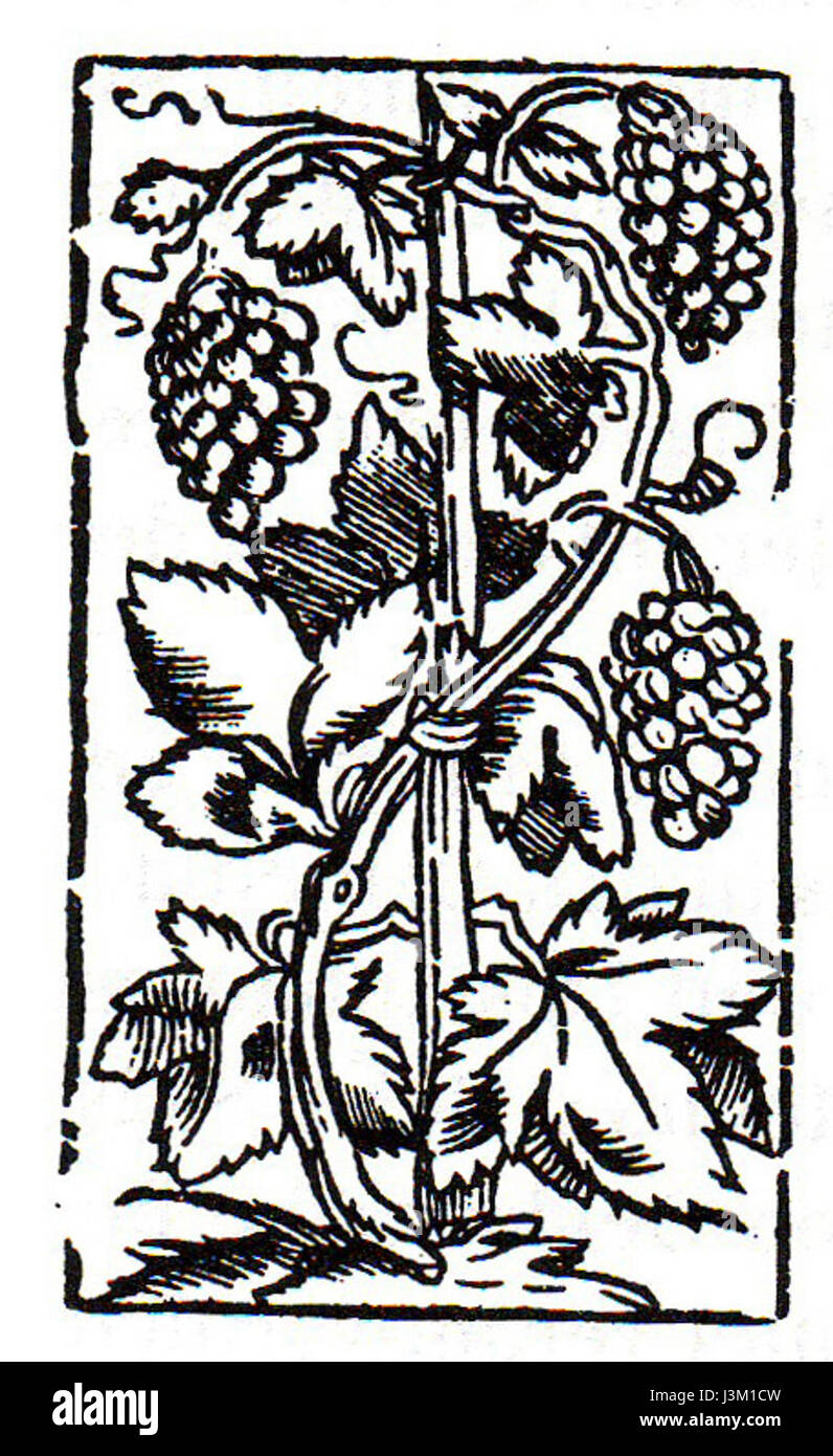 Woodcut print depicting Cut Out Stock Images Pictures Alamy