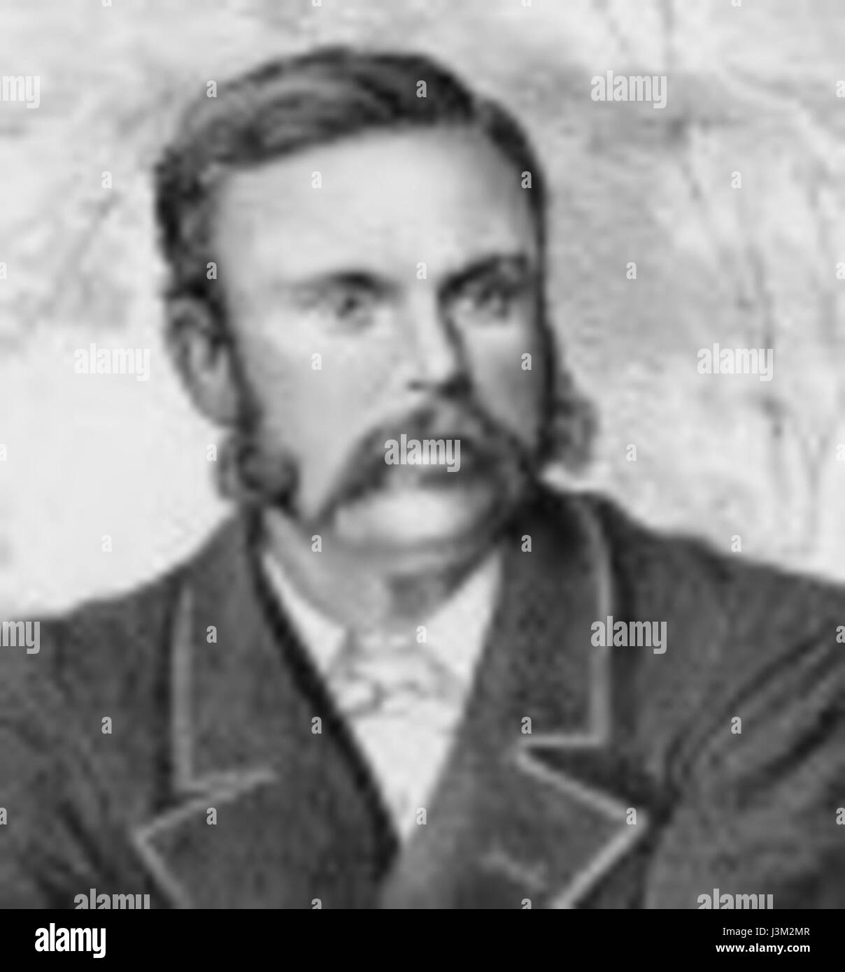 Henry Edwards engraving 100px Stock Photo Alamy