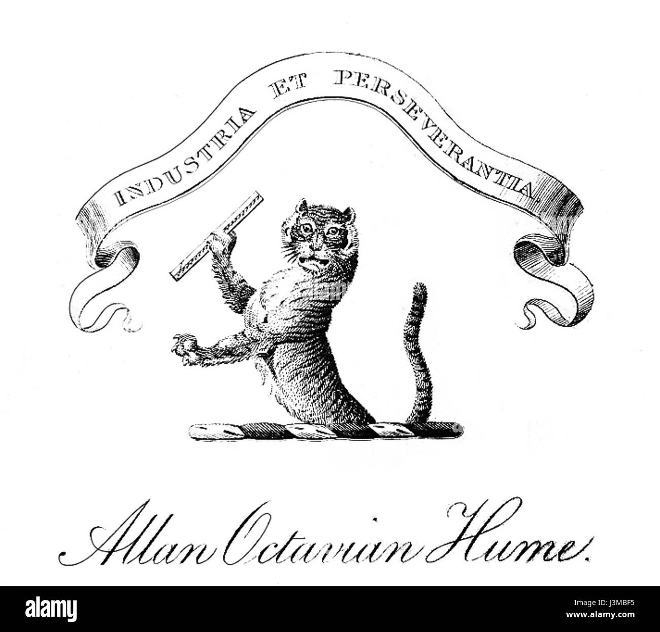 Hume and illustration hires stock photography and images Alamy