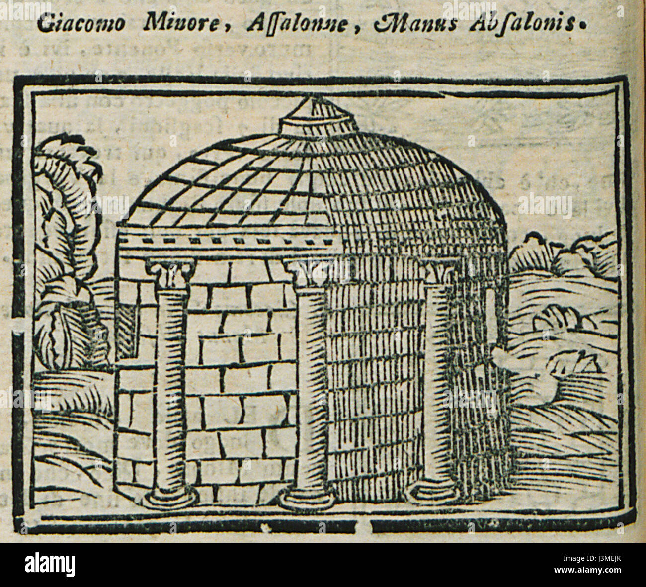 Giacommo Minore, Assalonne, Manus Absalonis   Bianco Noe   1600 Stock Photo