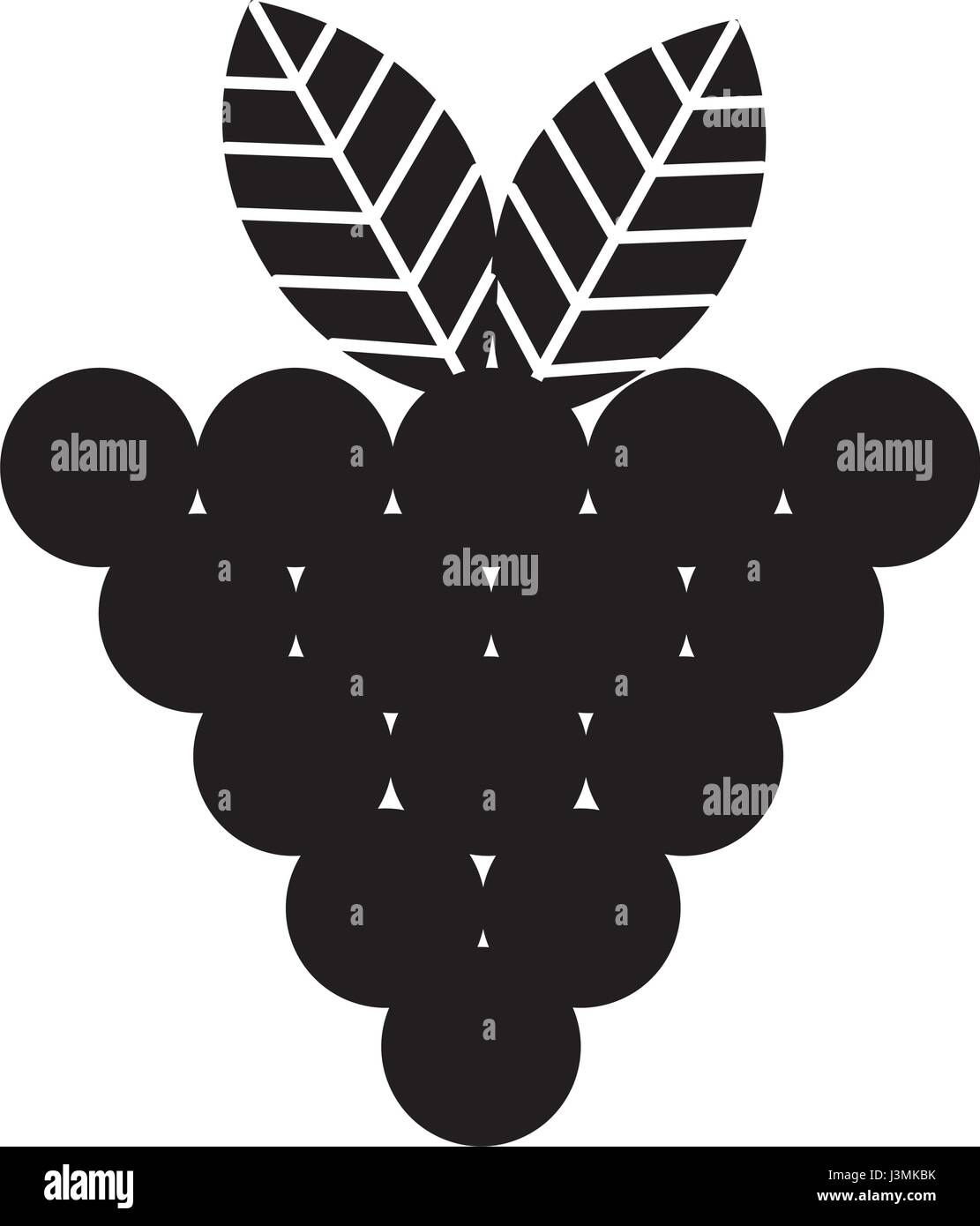 grapes fresh fruit isolated icon Stock Vector Image & Art - Alamy