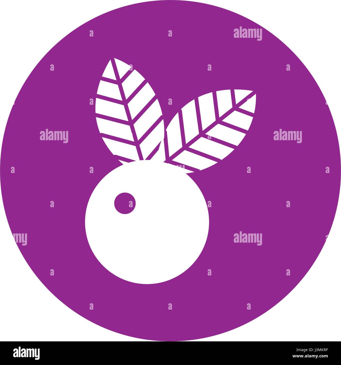 cherry fresh fruit isolated icon Stock Vector Image & Art - Alamy