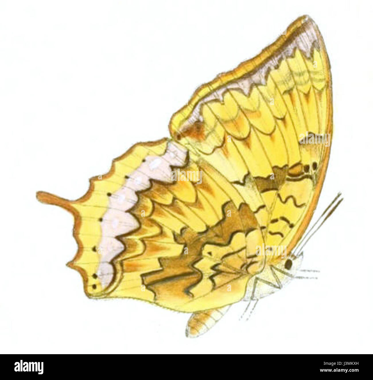 Heritage study object Cut Out Stock Images & Pictures - Alamy