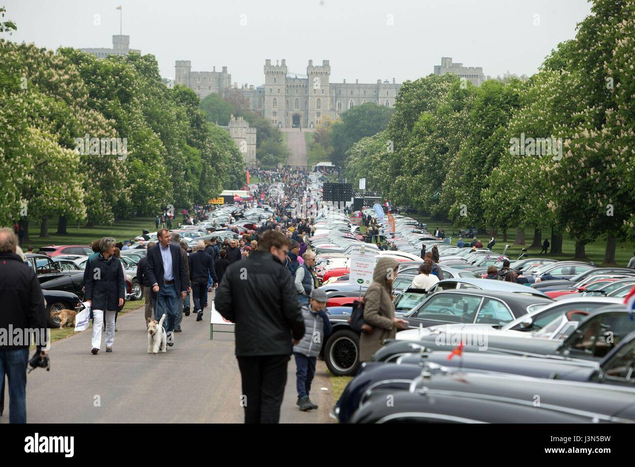 Hundreds of Jaguar cars fill the Long Walk near Windsor Castle in Berkshire for the annual Royal Windsor Jaguar Festival in aid of the Prince Phillip Trust. Stock Photo