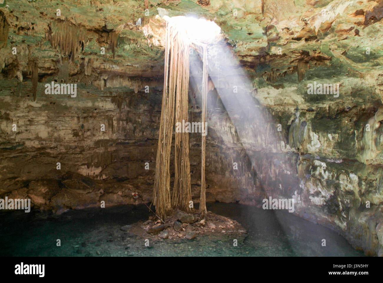 Cenote Samula is 7 km from center of town Valladolid in Yucatan peninsula, Mexico. Stock Photo