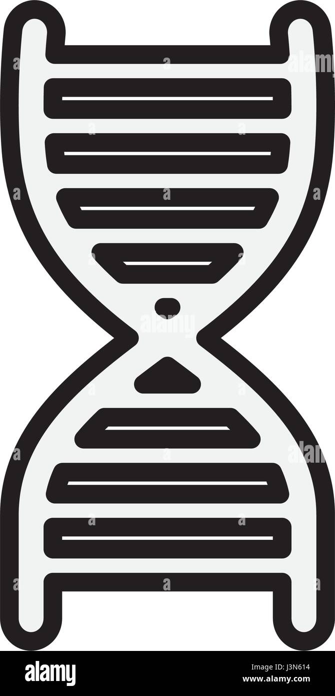 Dna Model Black And White High Resolution Stock Photography and Images