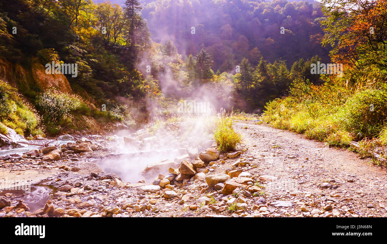 hot spring water in autumn forest Stock Photo - Alamy