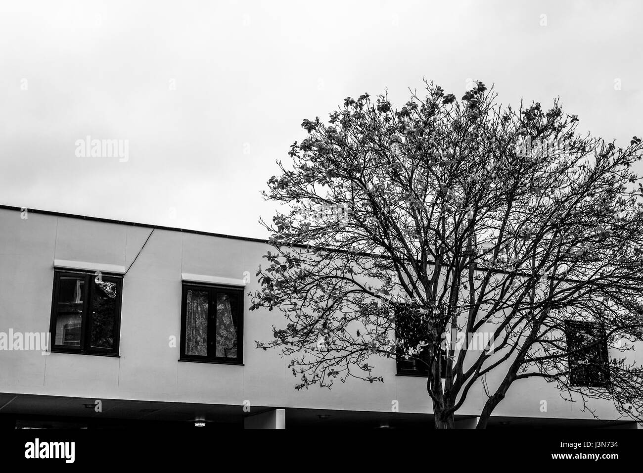 Gospel oak hi-res stock photography and images - Alamy