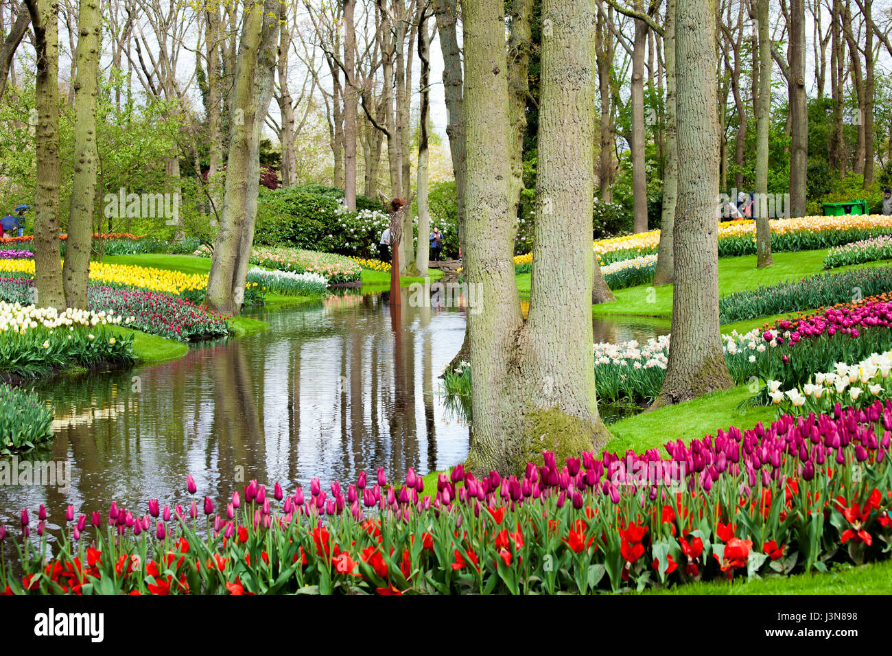 Tourists walking throung colorful tulips on the river bank in Keukenhof park in Amsterdam area, Netherlands. Spring blossom in Keukenhof Stock Photo