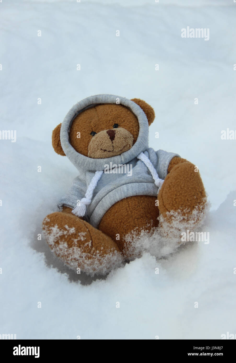Teddy bear in the snow Stock Photo - Alamy