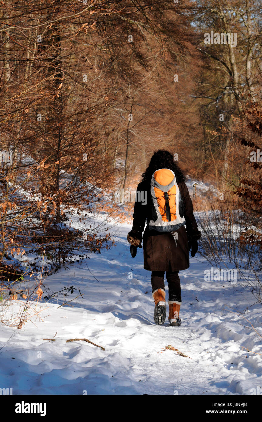 Hiker with backpack, Hunsrueck-Hochwald National Park, Germany Stock Photo
