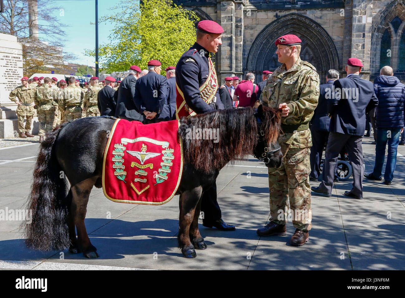 Glasgow, Scotland, UK. 6th May, 2017. To commemorate the 70th anniversary of the forming of XV (Scottish Volunteer) battalion of the Parachute Regiment, later to be known as '4 Para', a service was held at Glasgow cathedral folllowed by a march through the city, led by the Parachute Regiments mascot, a Shetland pony called Pegasus. The march finished in George Square where there as a march past and salute followed by an address by Lt Colonel Pat Conn OBE. Credit: Findlay/Alamy Live News Stock Photo