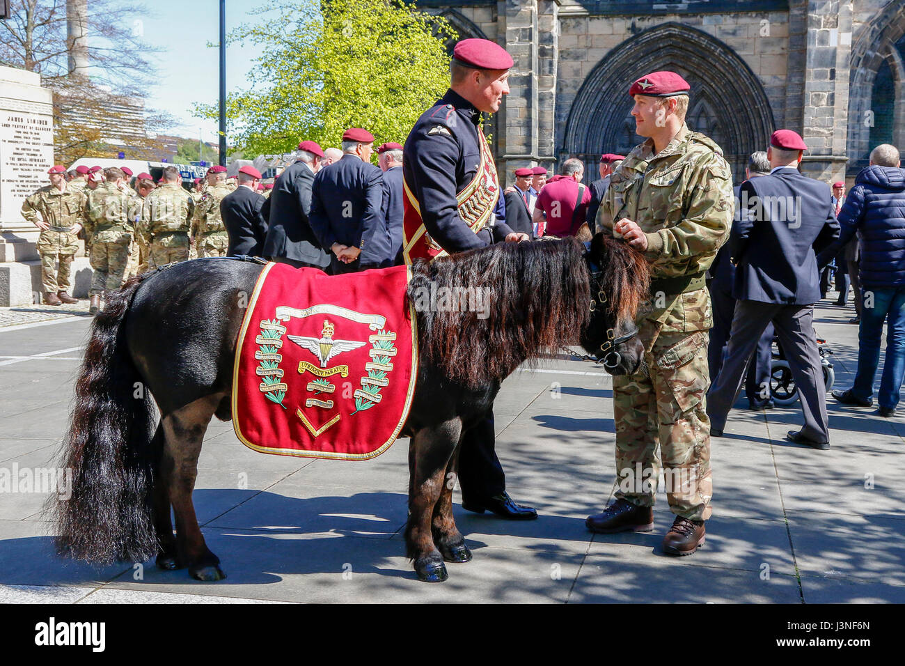 Glasgow, Scotland, UK. 6th May, 2017. To commemorate the 70th anniversary of the forming of XV (Scottish Volunteer) battalion of the Parachute Regiment, later to be known as '4 Para', a service was held at Glasgow cathedral folllowed by a march through the city, led by the Parachute Regiments mascot, a Shetland pony called Pegasus. The march finished in George Square where there as a march past and salute followed by an address by Lt Colonel Pat Conn OBE. Credit: Findlay/Alamy Live News Stock Photo