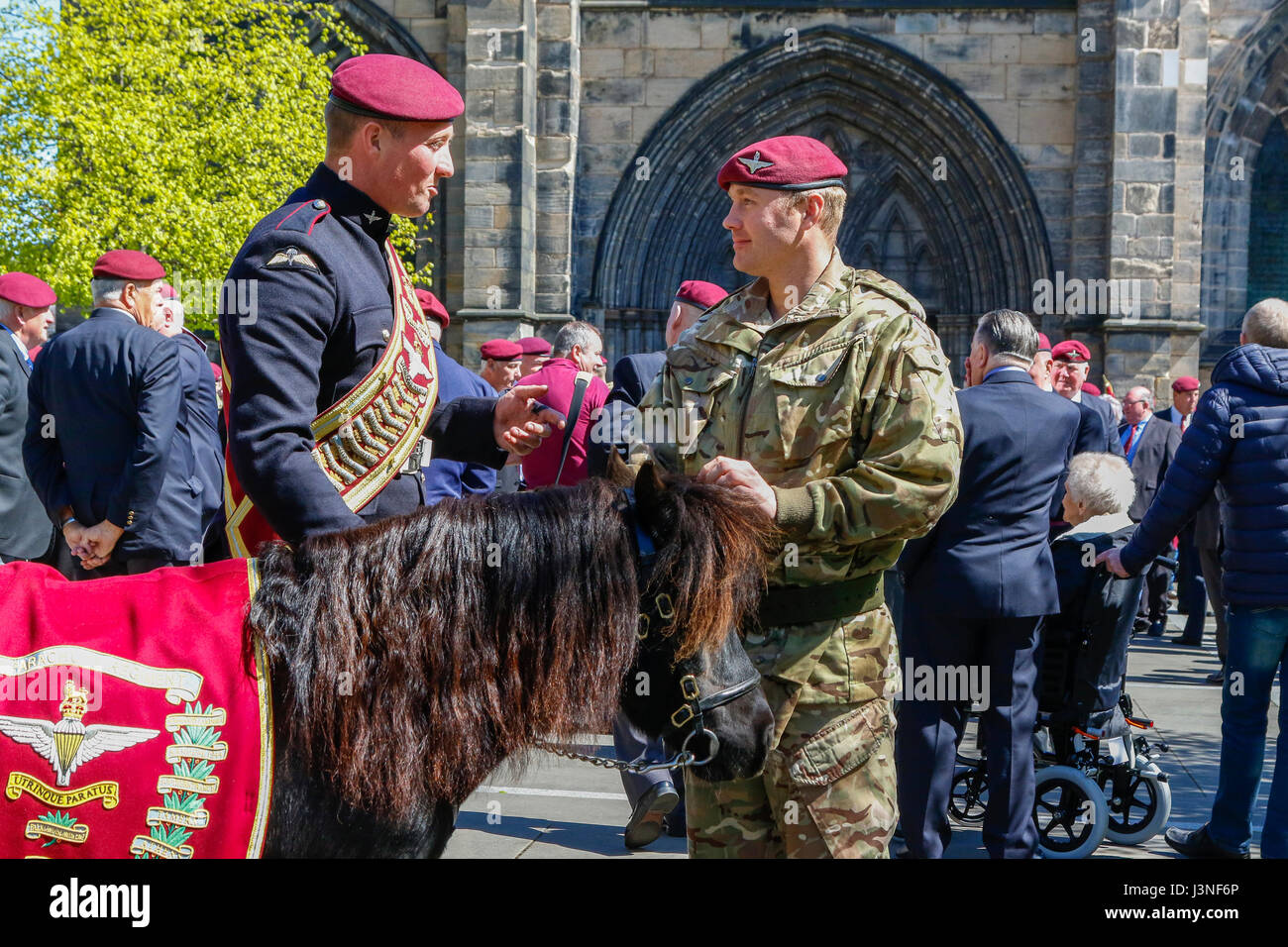 Glasgow, Scotland, UK. 6th May, 2017. To commemorate the 70th anniversary of the forming of XV (Scottish Volunteer) battalion of the Parachute Regiment, later to be known as '4 Para', a service was held at Glasgow cathedral folllowed by a march through the city, led by the Parachute Regiments mascot, a Shetland pony called Pegasus. The march finished in George Square where there as a march past and salute followed by an address by Lt Colonel Pat Conn OBE. Credit: Findlay/Alamy Live News Stock Photo