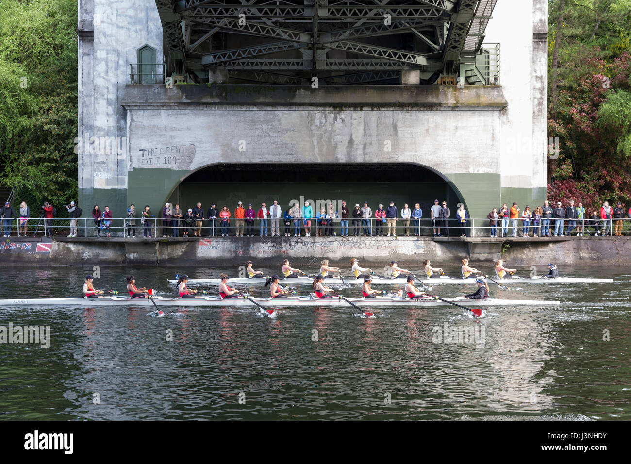 Racing shells hi-res stock photography and images - Alamy